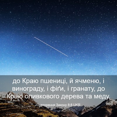 Picture 03 - Повторення Закону 8:8 UKR - до Краю пшениці, й ячменю, і - Bible Verse Picture