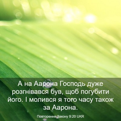 Picture 03 - Повторення Закону 9:20 UKR - А на Аарона Господь дуже - Bible Verse Picture