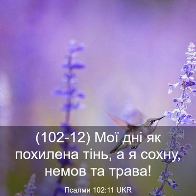 Picture 03 - Псалми 102:11 UKR - (102-12) Мої дні як похилена - Bible Verse Picture