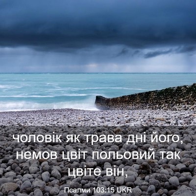 Picture 03 - Псалми 103:15 UKR - чоловік як трава дні його, - Bible Verse Picture