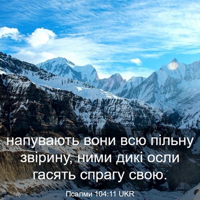 Picture 03 - Псалми 104:11 UKR - напувають вони всю пільну - Bible Verse Picture