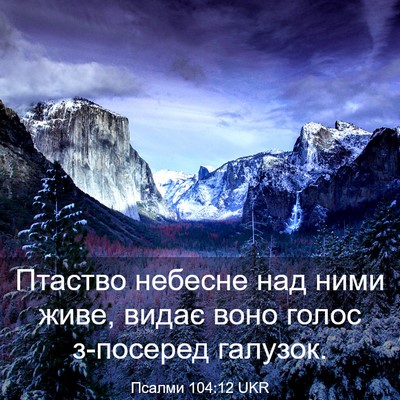Picture 03 - Псалми 104:12 UKR - Птаство небесне над ними - Bible Verse Picture