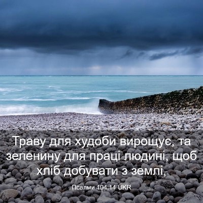 Picture 03 - Псалми 104:14 UKR - Траву для худоби вирощує, - Bible Verse Picture