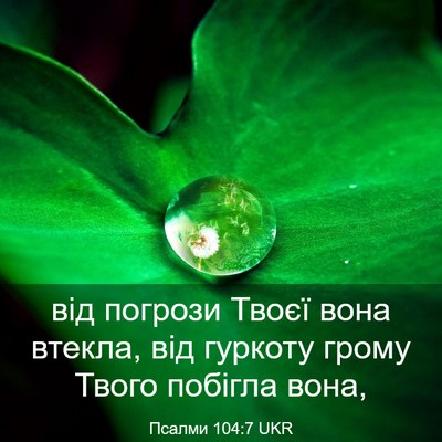 Picture 03 - Псалми 104:7 UKR - від погрози Твоєї вона - Bible Verse Picture
