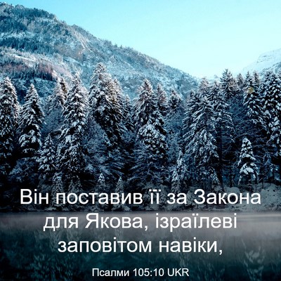 Picture 03 - Псалми 105:10 UKR - Він поставив її за Закона - Bible Verse Picture
