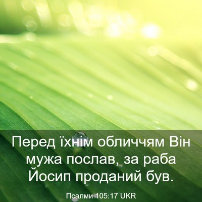 Picture 03 - Псалми 105:17 UKR - Перед їхнім обличчям Він - Bible Verse Picture