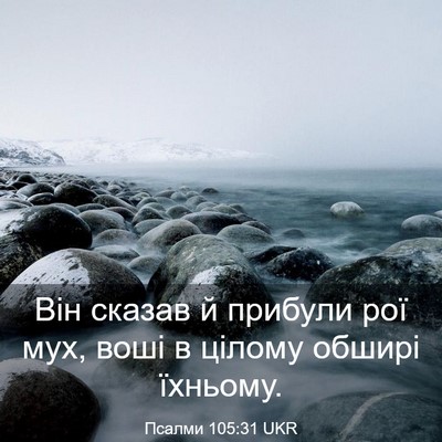 Picture 03 - Псалми 105:31 UKR - Він сказав й прибули рої - Bible Verse Picture