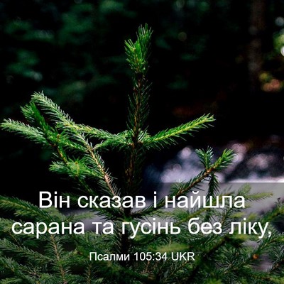 Picture 03 - Псалми 105:34 UKR - Він сказав і найшла сарана - Bible Verse Picture