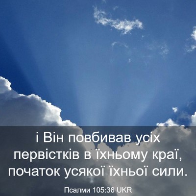 Picture 03 - Псалми 105:36 UKR - і Він повбивав усіх - Bible Verse Picture
