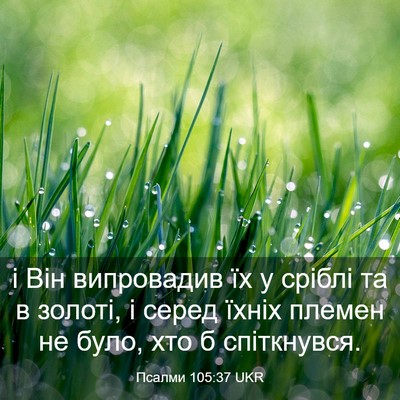 Picture 03 - Псалми 105:37 UKR - і Він випровадив їх у - Bible Verse Picture