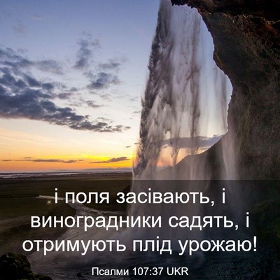 Picture 03 - Псалми 107:37 UKR - і поля засівають, і - Bible Verse Picture