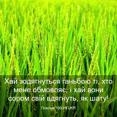 Picture 03 - Псалми 109:29 UKR - Хай зодягнуться ганьбою - Bible Verse Picture