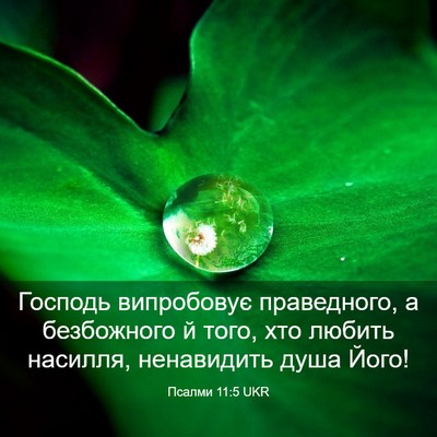 Picture 03 - Псалми 11:5 UKR - Господь випробовує - Bible Verse Picture