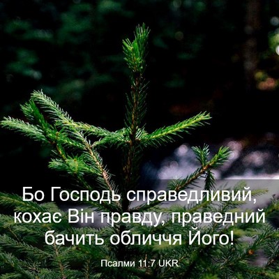 Picture 03 - Псалми 11:7 UKR - Бо Господь справедливий, - Bible Verse Picture