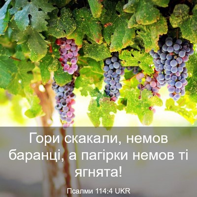 Picture 03 - Псалми 114:4 UKR - Гори скакали, немов - Bible Verse Picture