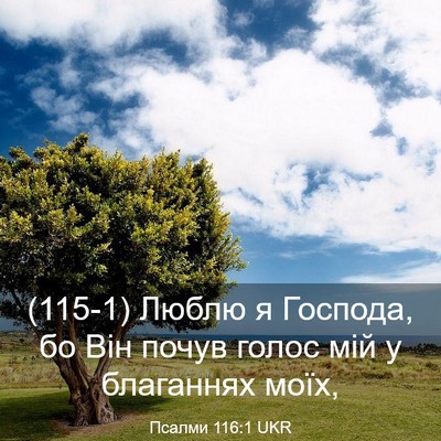 Picture 03 - Псалми 116:1 UKR - (115-1) Люблю я Господа, бо Він - Bible Verse Picture