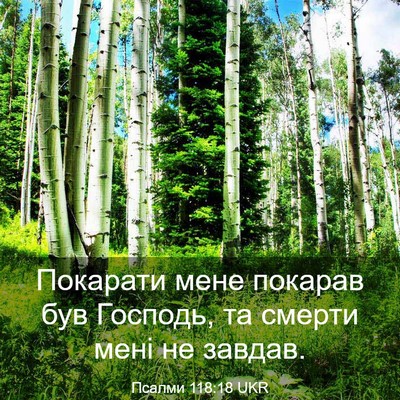 Picture 03 - Псалми 118:18 UKR - Покарати мене покарав був - Bible Verse Picture
