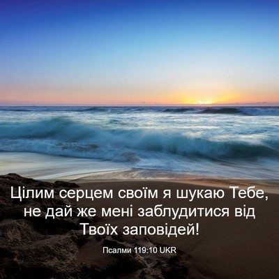 Picture 03 - Псалми 119:10 UKR - Цілим серцем своїм я шукаю - Bible Verse Picture