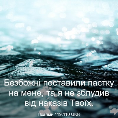 Picture 03 - Псалми 119:110 UKR - Безбожні поставили пастку - Bible Verse Picture