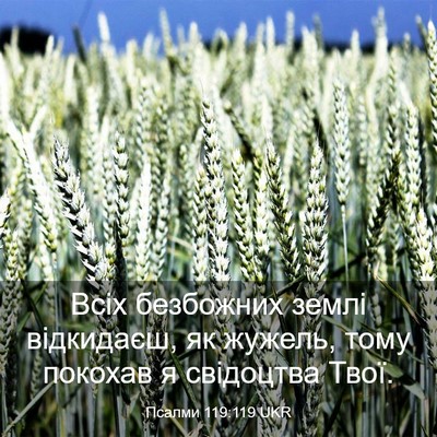Picture 03 - Псалми 119:119 UKR - Всіх безбожних землі - Bible Verse Picture