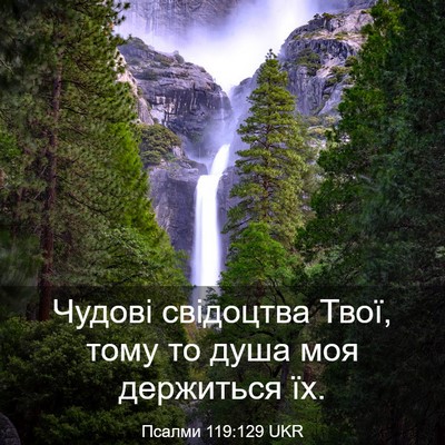 Picture 03 - Псалми 119:129 UKR - Чудові свідоцтва Твої, - Bible Verse Picture