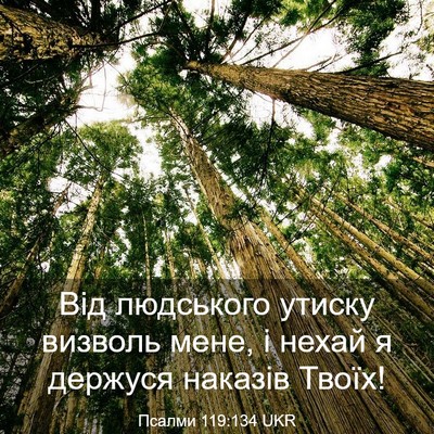 Picture 03 - Псалми 119:134 UKR - Від людського утиску - Bible Verse Picture