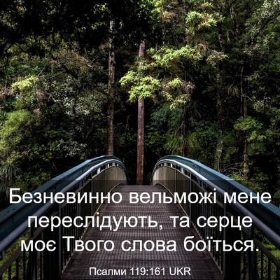 Picture 03 - Псалми 119:161 UKR - Безневинно вельможі мене - Bible Verse Picture