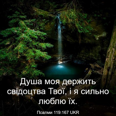Picture 03 - Псалми 119:167 UKR - Душа моя держить свідоцтва - Bible Verse Picture