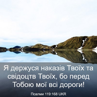 Picture 03 - Псалми 119:168 UKR - Я держуся наказів Твоїх та - Bible Verse Picture