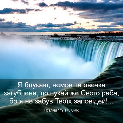 Picture 03 - Псалми 119:176 UKR - Я блукаю, немов та овечка - Bible Verse Picture
