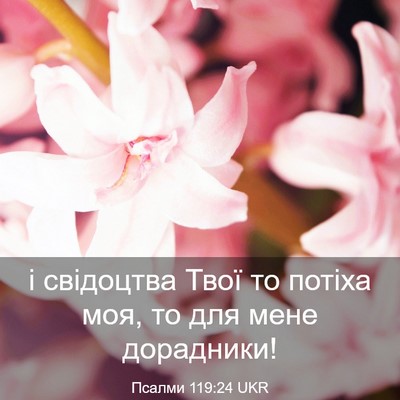 Picture 03 - Псалми 119:24 UKR - і свідоцтва Твої то потіха - Bible Verse Picture