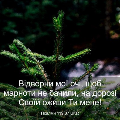Picture 03 - Псалми 119:37 UKR - Відверни мої очі, щоб - Bible Verse Picture