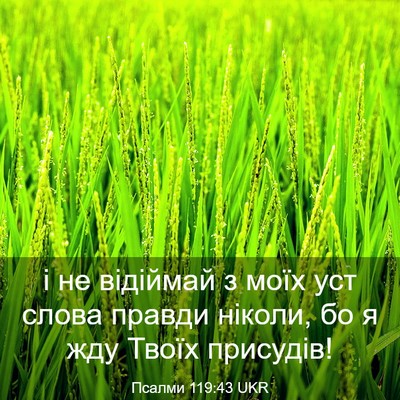 Picture 03 - Псалми 119:43 UKR - і не відіймай з моїх уст - Bible Verse Picture