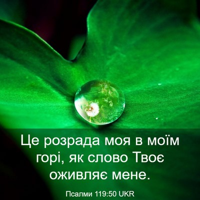 Picture 03 - Псалми 119:50 UKR - Це розрада моя в моїм горі, - Bible Verse Picture