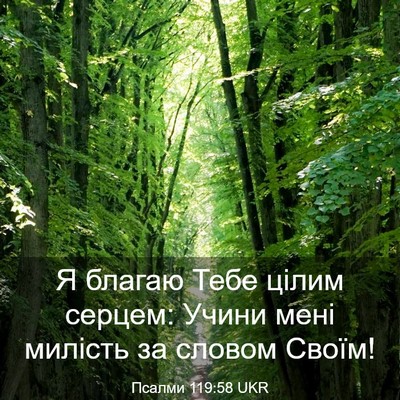 Picture 03 - Псалми 119:58 UKR - Я благаю Тебе цілим серцем: - Bible Verse Picture