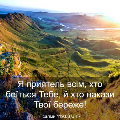 Picture 03 - Псалми 119:63 UKR - Я приятель всім, хто - Bible Verse Picture