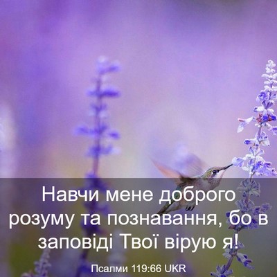 Picture 03 - Псалми 119:66 UKR - Навчи мене доброго розуму - Bible Verse Picture