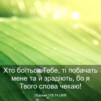Picture 03 - Псалми 119:74 UKR - Хто боїться Тебе, ті - Bible Verse Picture