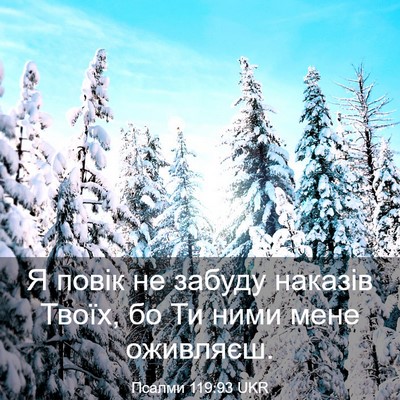 Picture 03 - Псалми 119:93 UKR - Я повік не забуду наказів - Bible Verse Picture