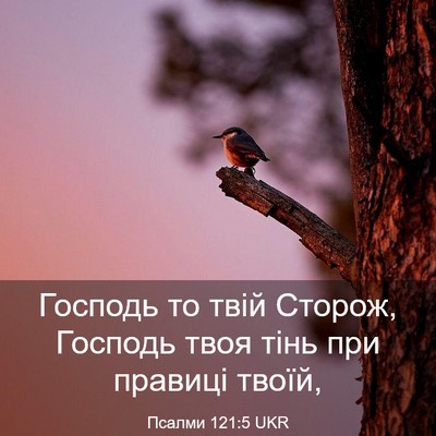 Picture 03 - Псалми 121:5 UKR - Господь то твій Сторож, - Bible Verse Picture
