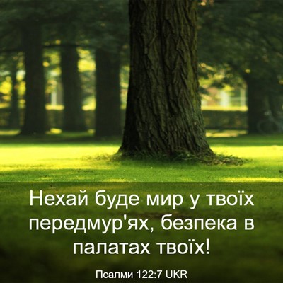 Picture 03 - Псалми 122:7 UKR - Нехай буде мир у твоїх - Bible Verse Picture