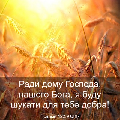 Picture 03 - Псалми 122:9 UKR - Ради дому Господа, нашого - Bible Verse Picture