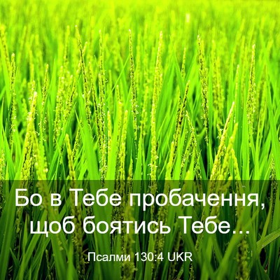Picture 03 - Псалми 130:4 UKR - Бо в Тебе пробачення, щоб - Bible Verse Picture