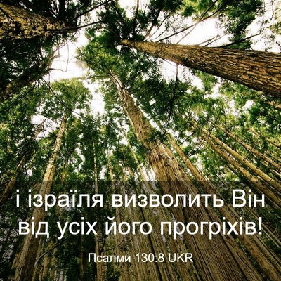 Picture 03 - Псалми 130:8 UKR - і ізраїля визволить Він - Bible Verse Picture