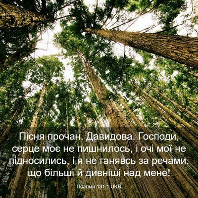Picture 03 - Псалми 131:1 UKR - Пісня прочан. Давидова. - Bible Verse Picture