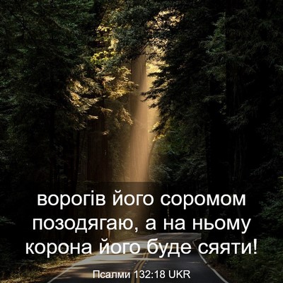 Picture 03 - Псалми 132:18 UKR - ворогів його соромом - Bible Verse Picture