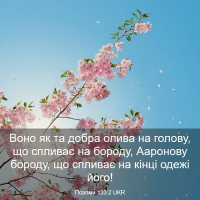 Picture 03 - Псалми 133:2 UKR - Воно як та добра олива на - Bible Verse Picture