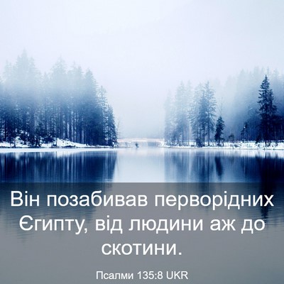 Picture 03 - Псалми 135:8 UKR - Він позабивав перворідних - Bible Verse Picture