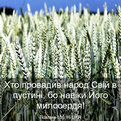 Picture 03 - Псалми 136:16 UKR - Хто провадив народ Свій в - Bible Verse Picture