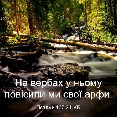 Picture 03 - Псалми 137:2 UKR - На вербах у ньому повісили - Bible Verse Picture